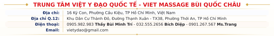 Trung tâm Việt Y Đạo Quốc Tế