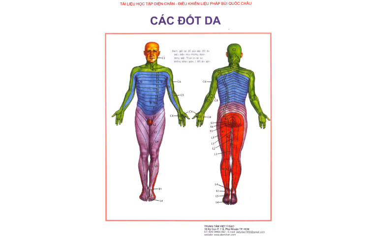 Cát Đốt Da