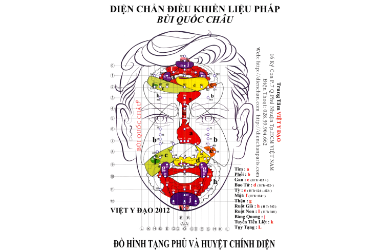 Đồ hình tạng phủ và huyệt chính diện